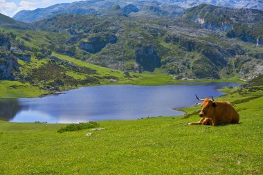 Picos de Europa İspanya Asturias gölde Ercina