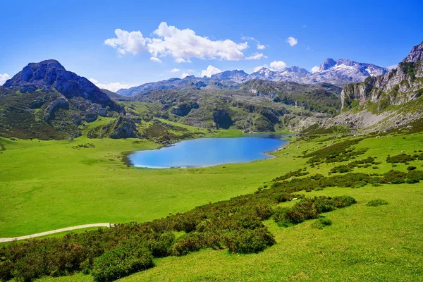 Picos Europa Spanya Asturias Gölde Ercina — Stok fotoğraf