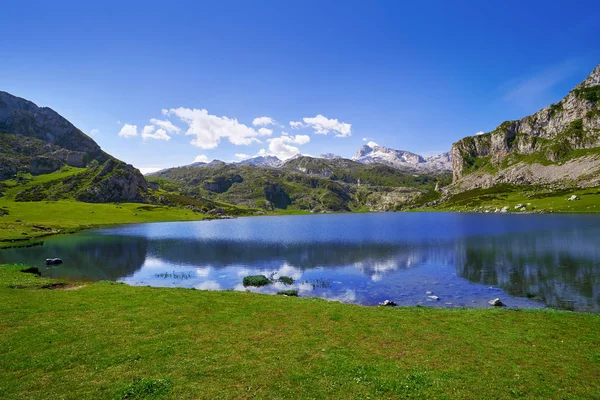Picos Europa Spanya Asturias Gölde Ercina — Stok fotoğraf