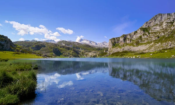 Picos Europa Spanya Asturias Gölde Ercina — Stok fotoğraf