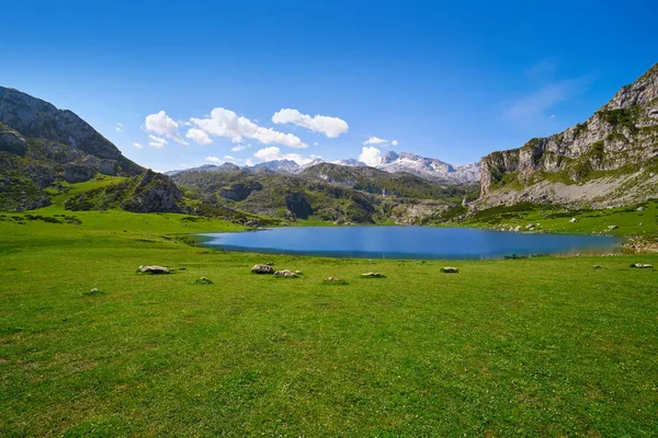 Ercina Lake Picos Europa Asturias Spain — Stock Photo, Image
