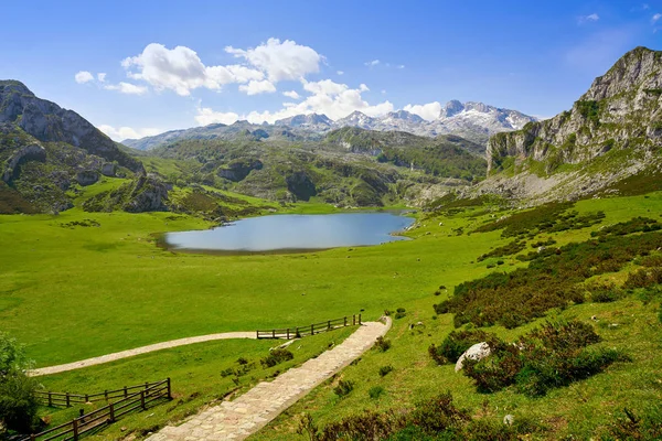 Ercina Lake Picos Europa Asturias Spain — Stock Photo, Image