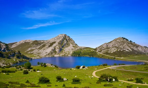 Picos Europa Spanya Asturias Gölde Enol — Stok fotoğraf