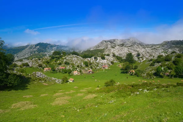 Picos Europa Mountains Asturias Spanyolország — Stock Fotó