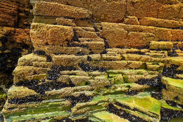 Playa Las Catedrales Spiaggia Catedrais Ribadeo Galicia Lugo Spagna — Foto Stock