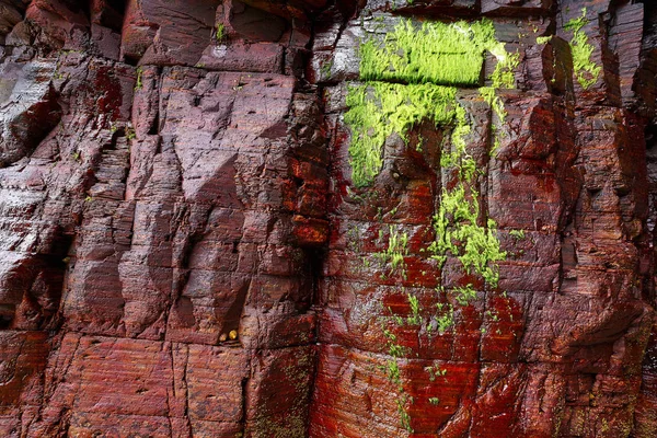 Slate Stone Texture Playa Las Catedrales Ribadeo Galicia Spain — стокове фото