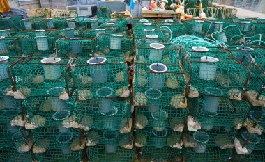 Ribadesella Asturias balıkçılık tacke İspanya limanda