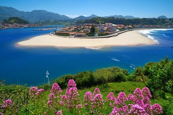 Village Ribadesella Vue Aérienne Dans Les Asturies Espagne — Photo