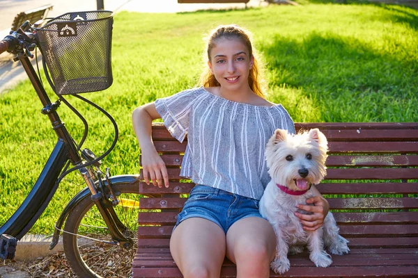 屋外芝生草の背景と公園のベンチに座っている犬を持つ少女 — ストック写真