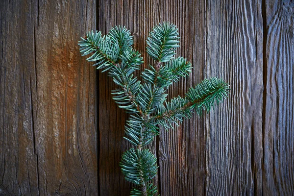 Fir Real Branch Christmas Symbol Wooden Vintage Background — Stock Photo, Image