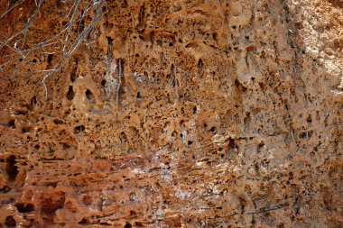 Alicante İspanya plaj'aşınmış kumtaşı