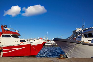 Denia marina tekneler limanda Alicante, İspanya