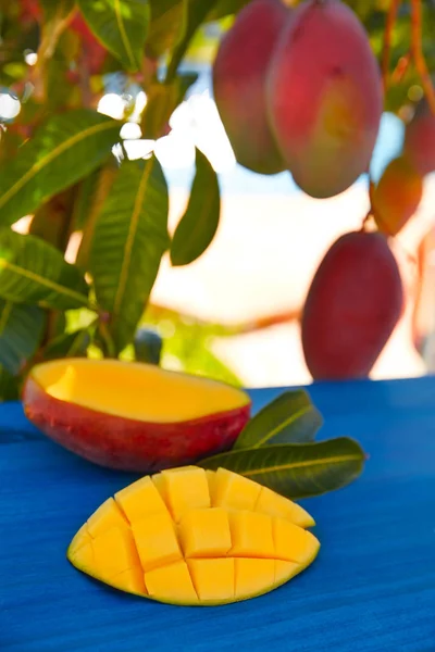 Mango Con Fruta Mango Preparada Sobre Mesa Azul —  Fotos de Stock