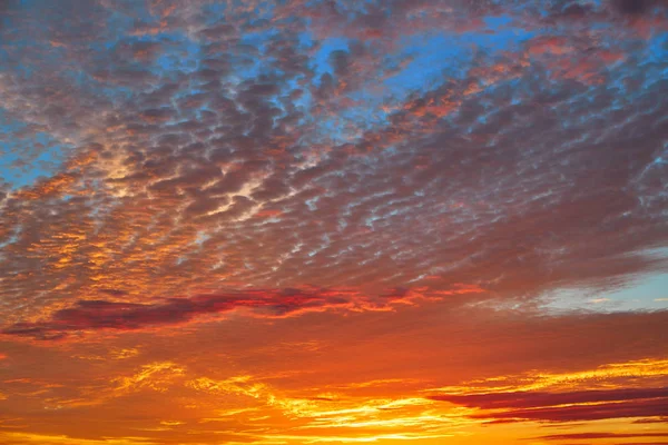 Закат Неба Оранжевыми Облаками Голубом Фоне — стоковое фото