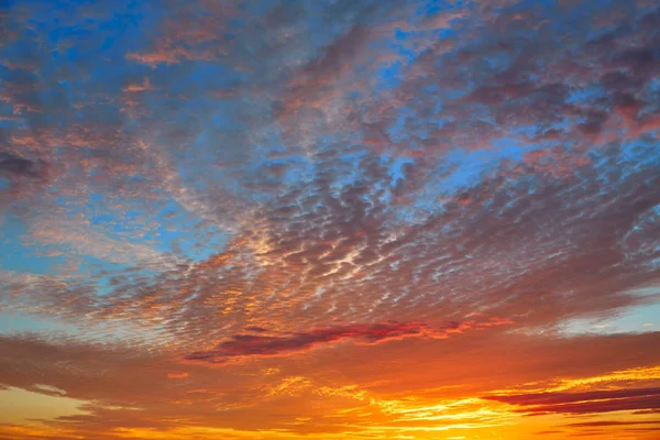 Cielo Atardecer Con Nubes Anaranjadas Sobre Fondo Azul — Foto de Stock