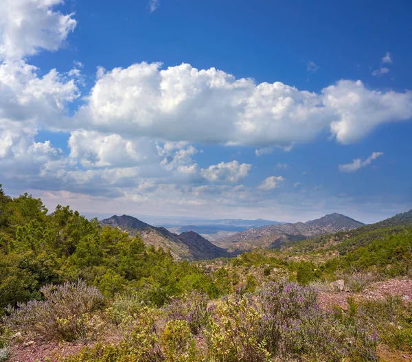 Espadan Sierra Bos Castellon Van Spanje — Stockfoto