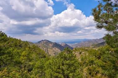 Espadan Sierra orman Castellon, İspanya