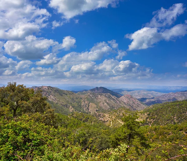 Espadan Sierra Erdő Castellon Spanyolország — Stock Fotó