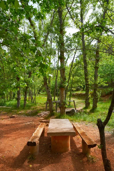 西班牙卡斯特利翁的埃斯巴丹森林 — 图库照片