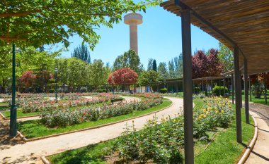 Fiesta del Arbol park Albacete İspanya, Kastilya La Mancha