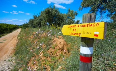 Camino de santiago Levante sign Saint James Way clipart