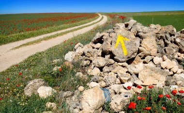 Castile La Mancha ok işareti Camino de Santiago saint James yolu Levante