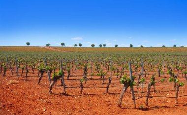 Kastilya La Mancha, İspanya Levante Saint James arada Cuenca bağ