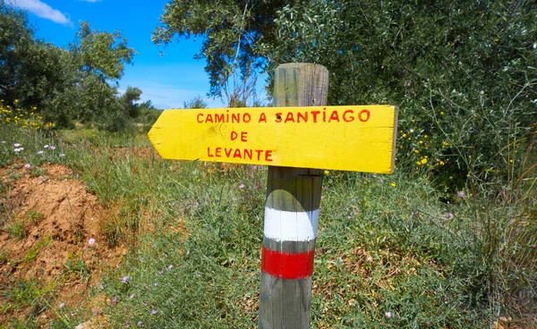 Camino Santiago Levante Işareti Saint James Yolu — Stok fotoğraf