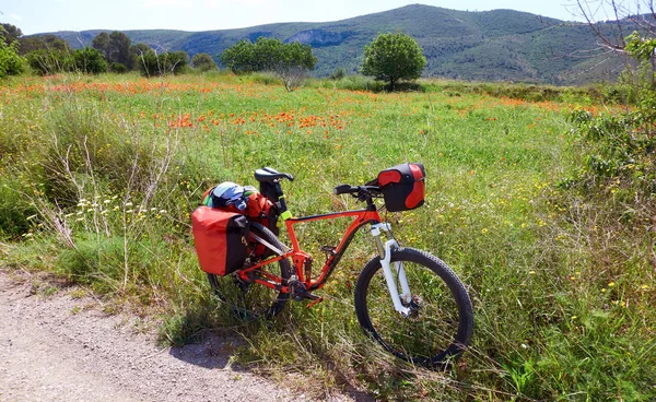 Camino Santiago Bicicletta San Giacomo Levante — Foto Stock