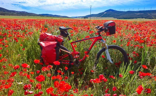 Camino Santiago Bicycle Saint James Way Levante Spring Poppies — Stock Photo, Image