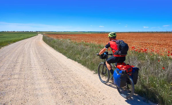 Peregrino Ciclista Por Caminho Santiago Bicicleta São Tiago Levante — Fotografia de Stock