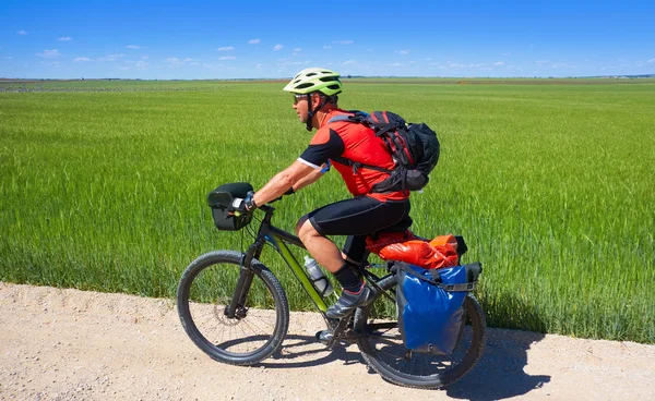 Peregrino Ciclista Por Caminho Santiago Bicicleta São Tiago Levante — Fotografia de Stock