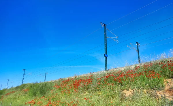 Järnväg Camino Santiago Levante Saint James Way Castilla Mancha — Stockfoto
