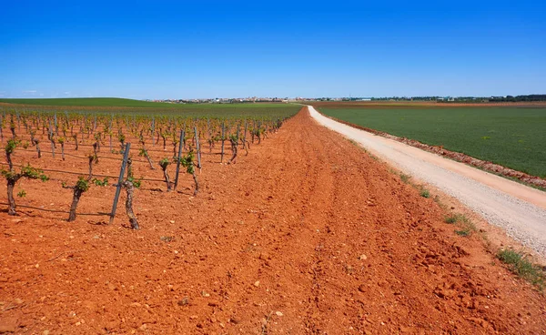 Wijngaard Castilië Mancha Met Een Oppervlakte Van Spanje Cuenca Door — Stockfoto