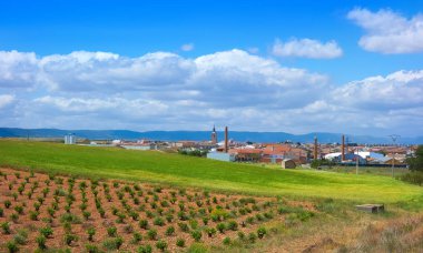 Kastilya La Mancha Saint James arada İspanya Toledo'da köyde Mora