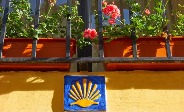 卡米诺圣地亚哥方式标志在 Xativa 也贾蒂瓦 圣詹姆斯路的莱万特 — 图库照片