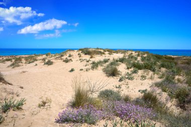 Playa beach Alcossebre içinde de Alcoceber Castellon, İspanya