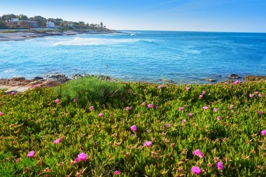 Denia beach, Las Rotas Alicante İspanya