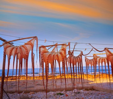 İspanya'nın Akdeniz batımında kurutulmuş ahtapot