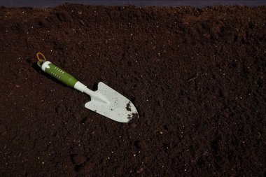 Bahçe içinde terkedilemeyen mala orchard arka planı için