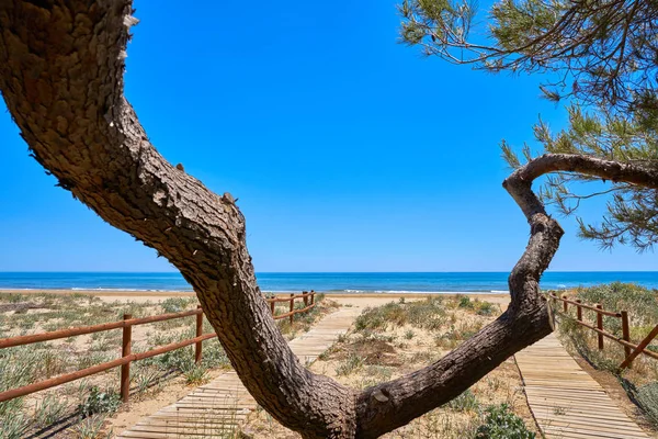 Romana Пляж Плайя Alcossebre Також Alcoceber Castellon Іспанії — стокове фото