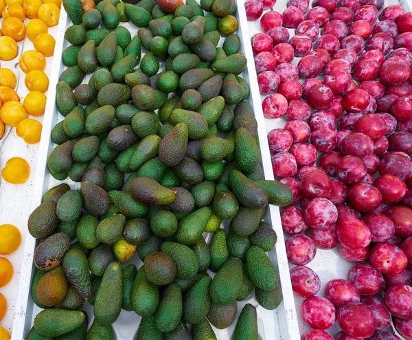 Avocat Prunes Rouges Jaunes Sur Marché Extérieur — Photo