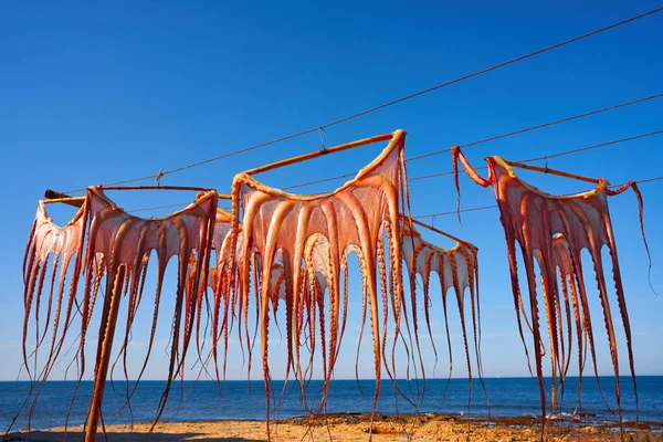 Getrockneter Oktopus Mediterranen Spanien Freien Trocken — Stockfoto