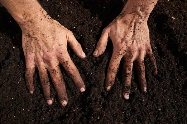 Agriculteur Mains Sales Sur Substrat Verger Jardin Urbain — Photo