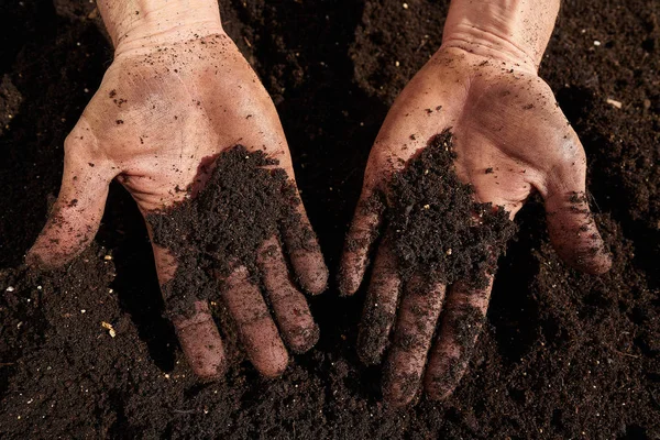 农民对城市园林果园底层的脏手 — 图库照片