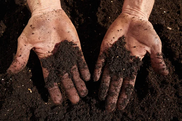 Hombre Agricultor Manos Sucias Sustrato Huerto Jardín Urbano — Foto de Stock