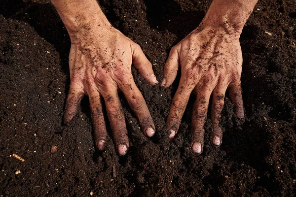 Agriculteur Mains Sales Sur Substrat Verger Jardin Urbain — Photo