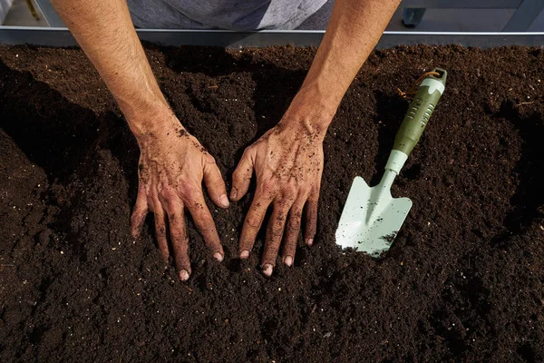 Çiftçi Adam Ellerini Kirli Kentsel Bahçe Meyve Bahçesinde Yükseltilmiş Yatak — Stok fotoğraf