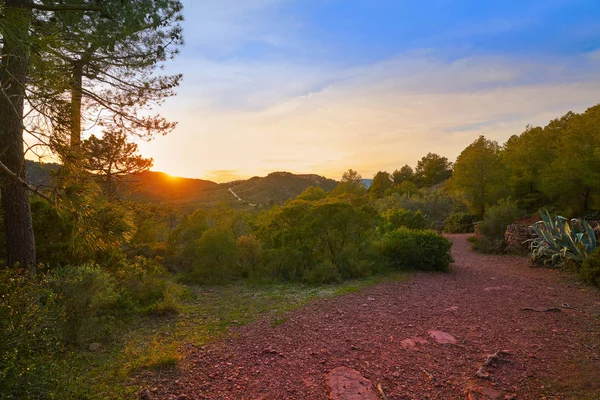 Solnedgång Vid Calderona Sierra Valencia Spanien — Stockfoto