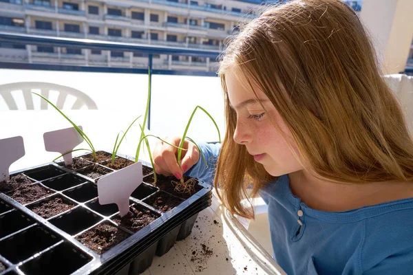 Flicka Som Arbetar Plantan Utomhus Aktivitetstabell — Stockfoto